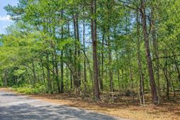 890 Flowers Lane photo 4