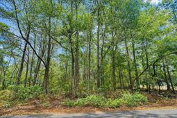 890 Flowers Lane photo 4