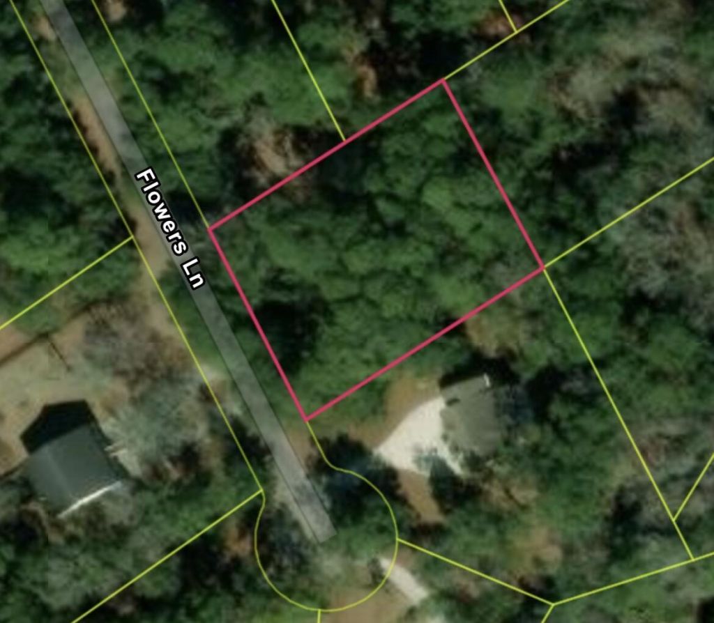 890 Flowers Lane Photo 4