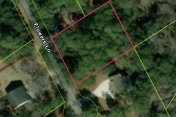 890 Flowers Lane photo 4