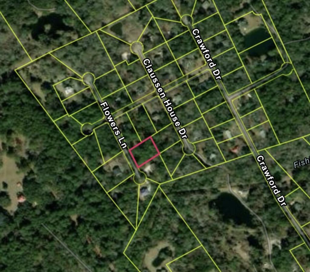 890 Flowers Lane Photo 5