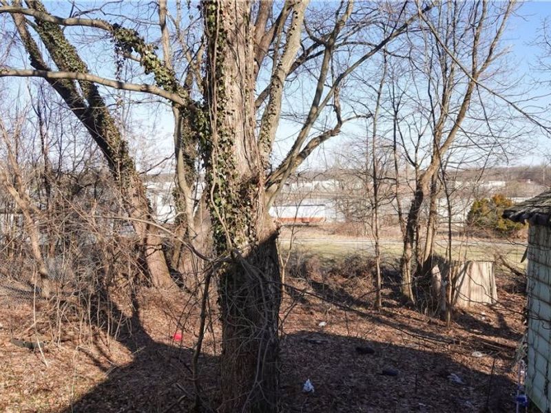 2407 Trussit Avenue, Youngstown, OH 44505 Photo 21