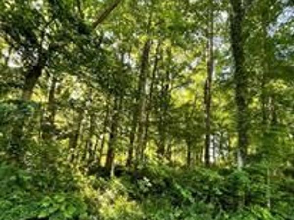 4345 FLORA AVENUE, PRINCE FREDERICK, MD 20678