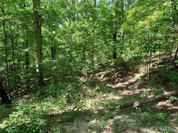 Lot 1 Dogwood Acres , Imperial, MO 63052