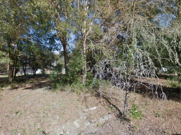17449 NW 89TH TER , FANNING SPRINGS, FL 32693