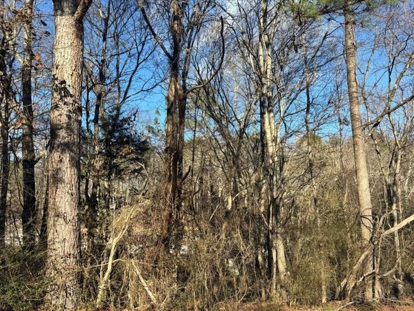 7129 Fine Lane, Harrison, TN 37341