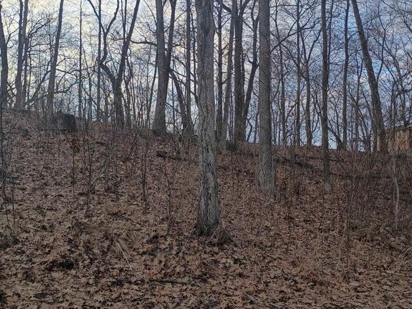 LN 131 C turkey lake lot # 23 &24, Lagrange, IN 46761