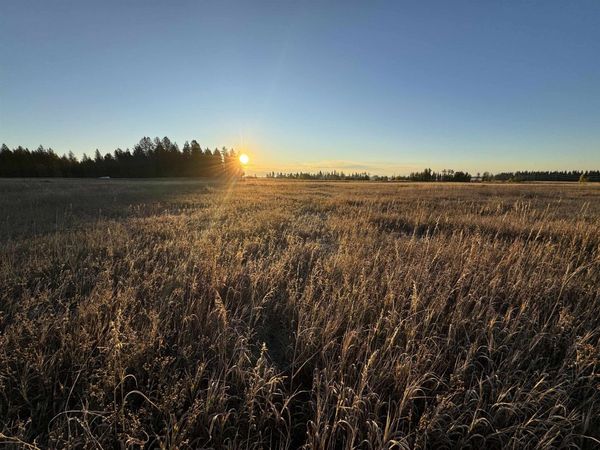 XX Mason Rd, Clayton, WA 99110