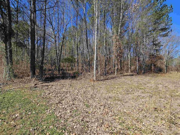 0 Clay Ave, Russellville, AL