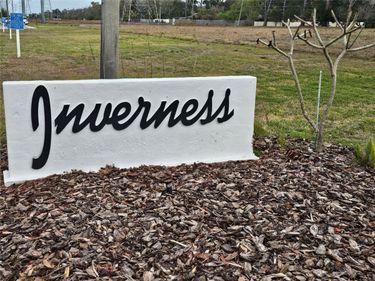 2593 COUNTRYSIDE BOULEVARD , Unit 7313, CLEARWATER, FL 33761