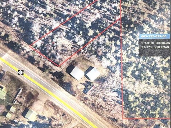 9563 S M123, Eckerman, MI 49728