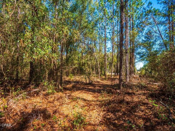 17198 SW Florida 47 , Fort White, FL 32038