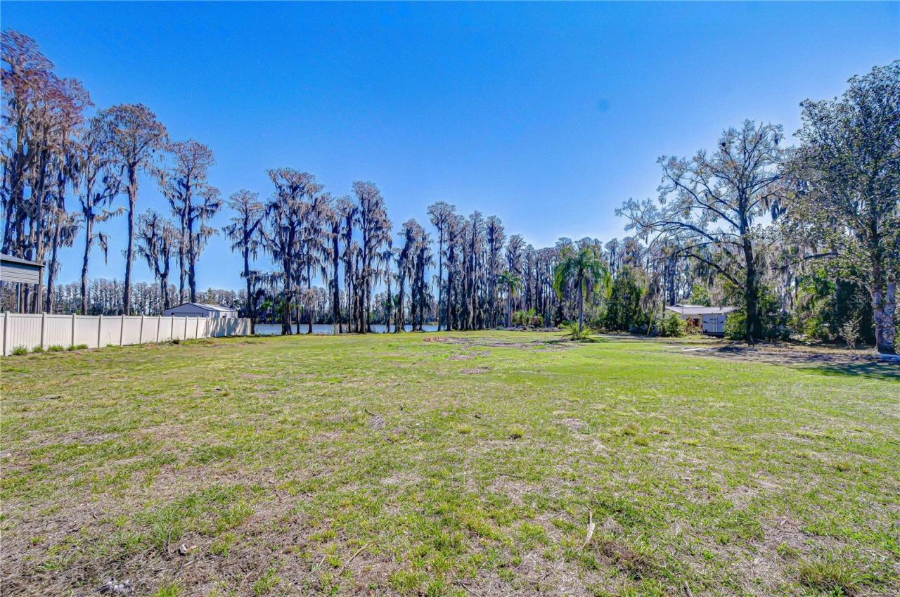 6608 Wisteria Loop, Land O Lakes, FL 34638 Photo