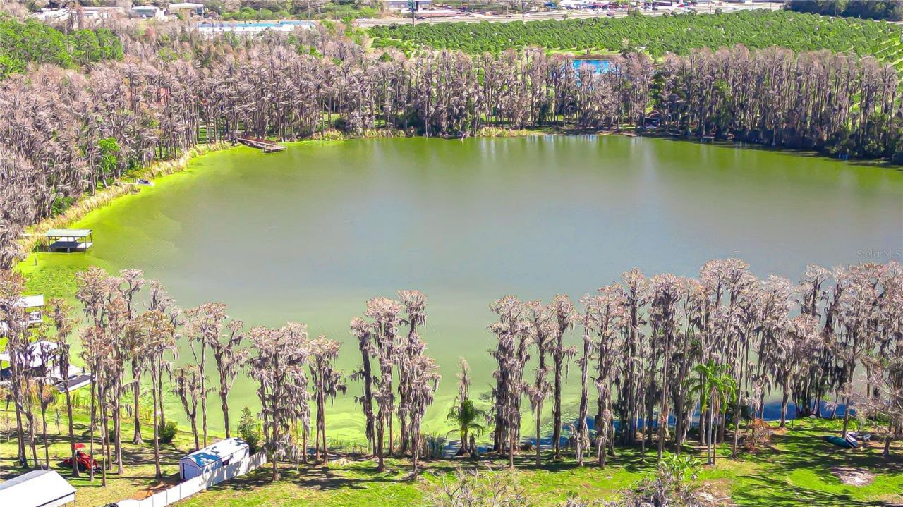 6608 Wisteria Loop, Land O Lakes, FL 34638 Photo