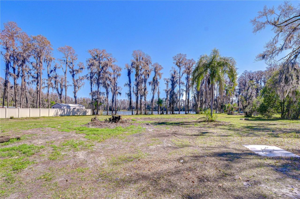 6608 Wisteria Loop, Land O Lakes, FL 34638 Photo
