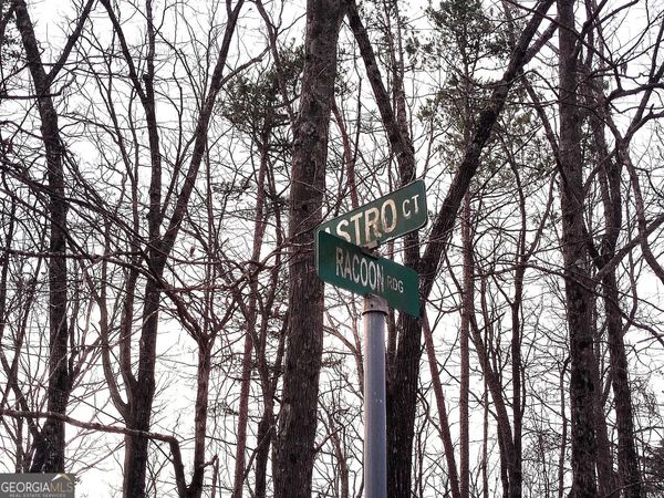 1036 Astro Court NE, Ranger, GA 30734