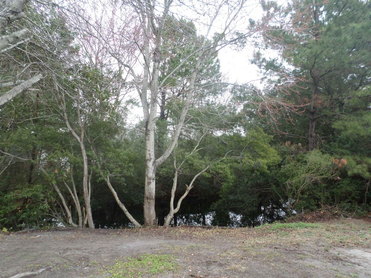 351 Southern Pines Dr.  Photo 46