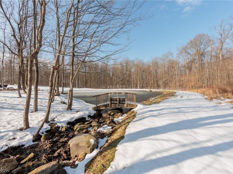 2502 Morning Star Drive, Hinckley, OH 44233 Photo 44