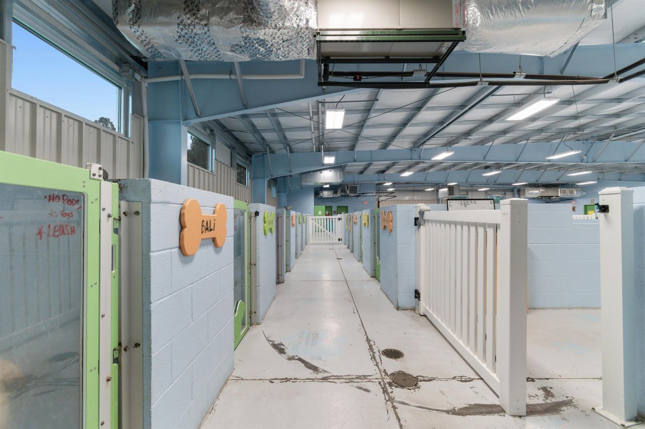 501 Myrtle Ridge Dr.  Photo 12