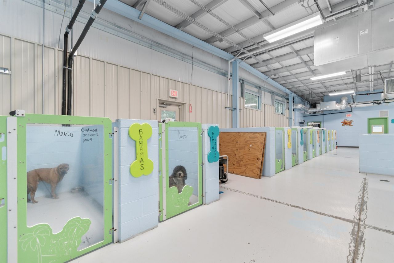 501 Myrtle Ridge Dr.  Photo 13