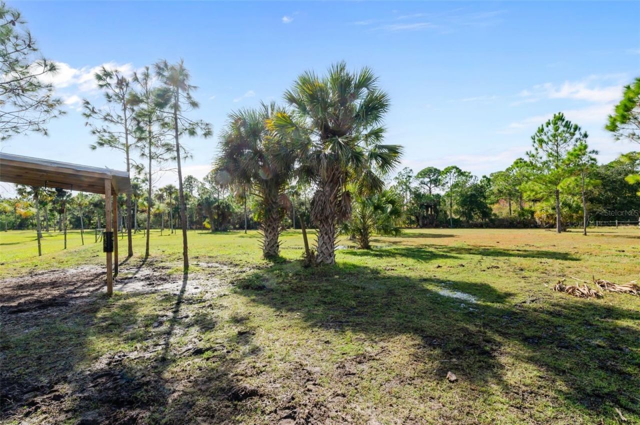 3262 Pheasant Trail, Mims, FL 32754 Photo