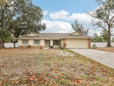 4504 DEER PARK PLACE , BRANDON, FL 33511