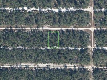 613 PARAKEET AVENUE , SEBRING, FL 33872