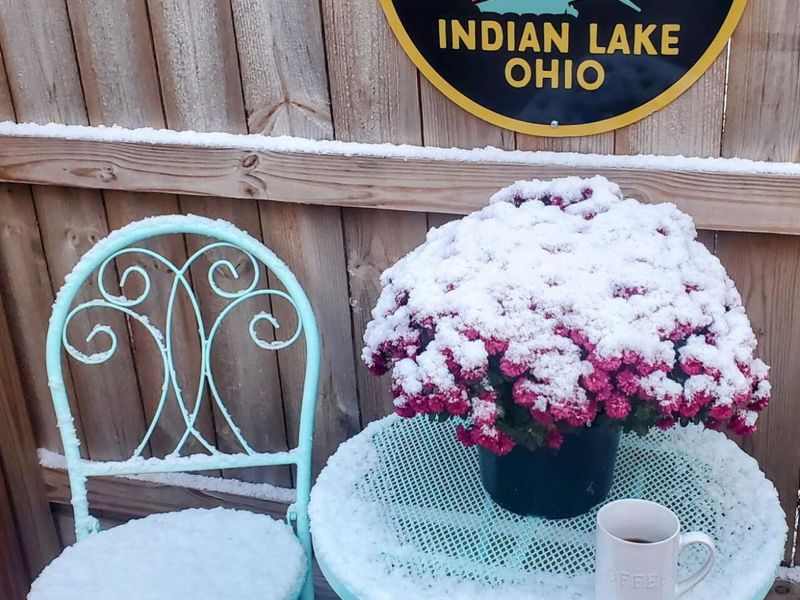 9627 Orchard Avenue, Lakeview, OH 43331 Photo 36