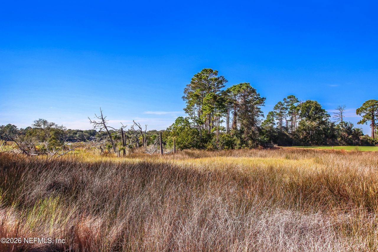 13762 Windsor Crown Court W, Jacksonville, FL 32225 Photo