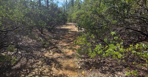 6721 Eaton Rd, Georgetown, CA 95634 Photo