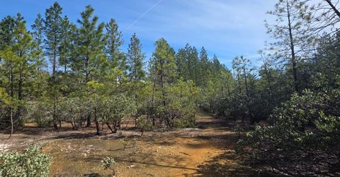 6721 Eaton Rd, Georgetown, CA 95634 Photo