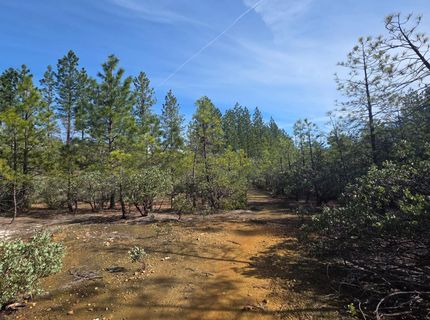6721 Eaton Rd, Georgetown, CA 95634 Photo