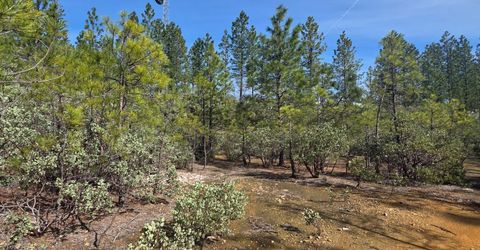 6721 Eaton Rd, Georgetown, CA 95634 Photo