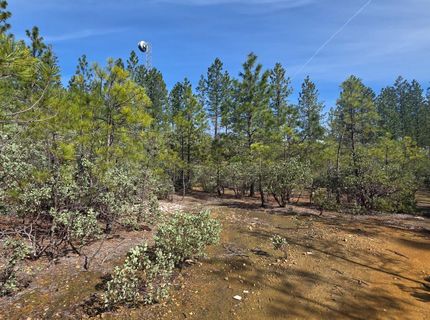 6721 Eaton Rd, Georgetown, CA 95634 Photo
