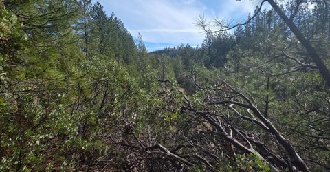 6721 Eaton Rd, Georgetown, CA 95634 Photo