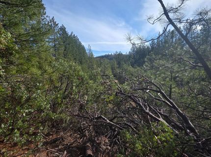 6721 Eaton Rd, Georgetown, CA 95634 Photo
