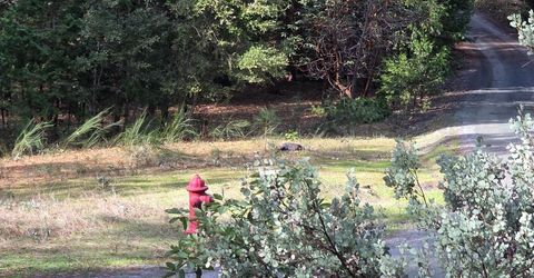 6721 Eaton Rd, Georgetown, CA 95634 Photo