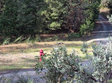 6721 Eaton Rd, Georgetown, CA 95634 Photo