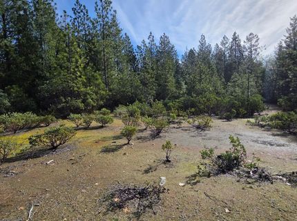 6721 Eaton Rd, Georgetown, CA 95634 Photo