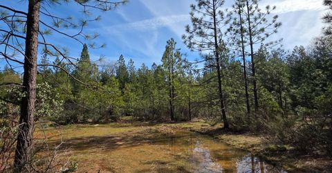 6721 Eaton Rd, Georgetown, CA 95634 Photo