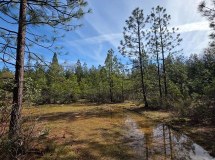 6721 Eaton Rd, Georgetown, CA 95634 Photo