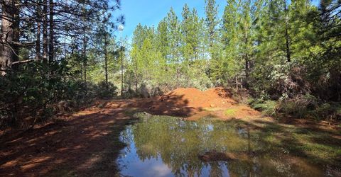 6721 Eaton Rd, Georgetown, CA 95634 Photo