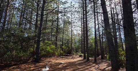 6721 Eaton Rd, Georgetown, CA 95634 Photo