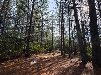 6721 Eaton Rd, Georgetown, CA 95634 Photo