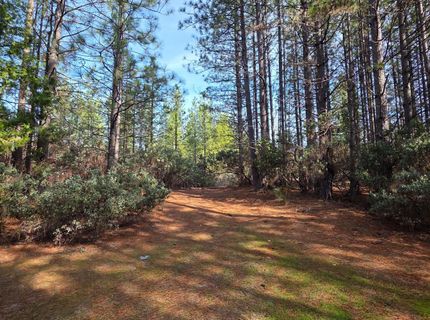 6721 Eaton Rd, Georgetown, CA 95634 Photo
