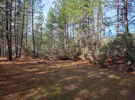 6721 Eaton Rd, Georgetown, CA 95634 Photo