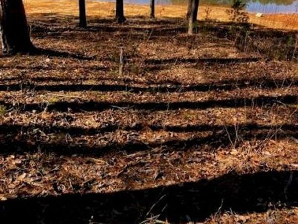 339 N Century Drive, Martin, GA 30557