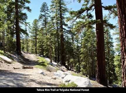 0 Genoa Peak Road, Stateline, NV 89449 Photo