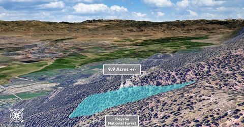 0 Genoa Peak Road, Stateline, NV 89449 Photo