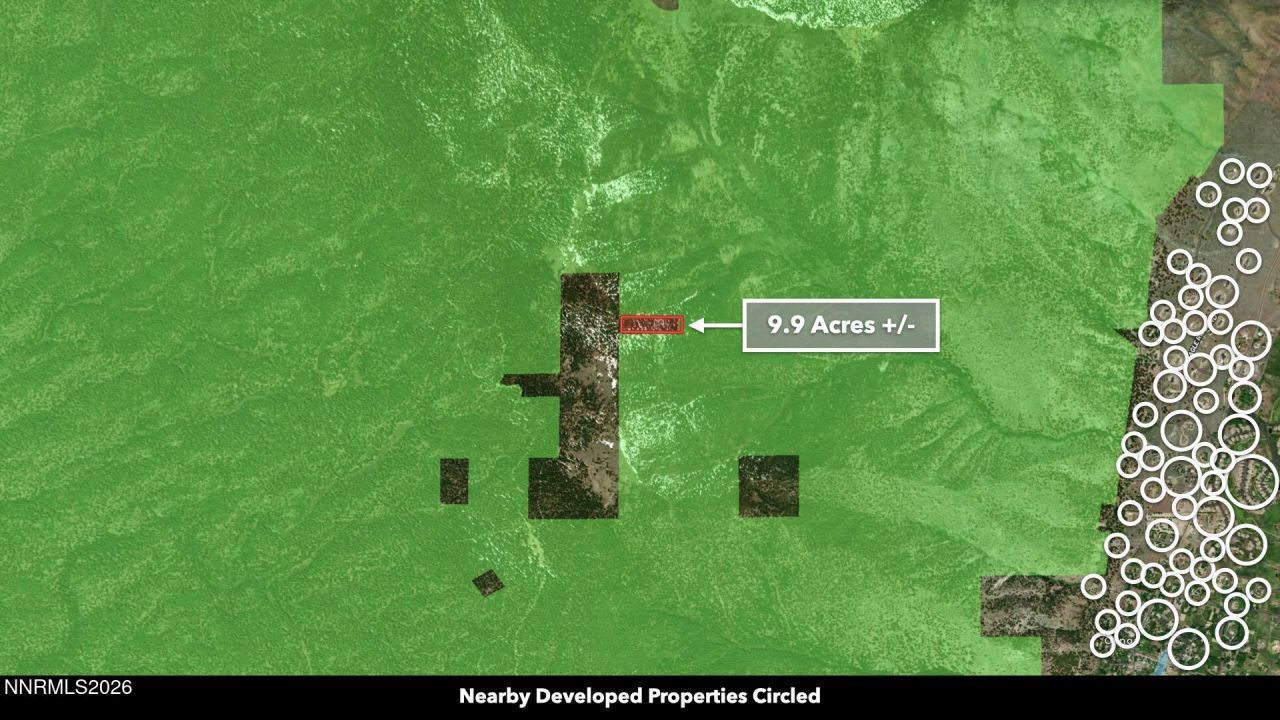 0 Genoa Peak Road, Stateline, NV 89449 Photo